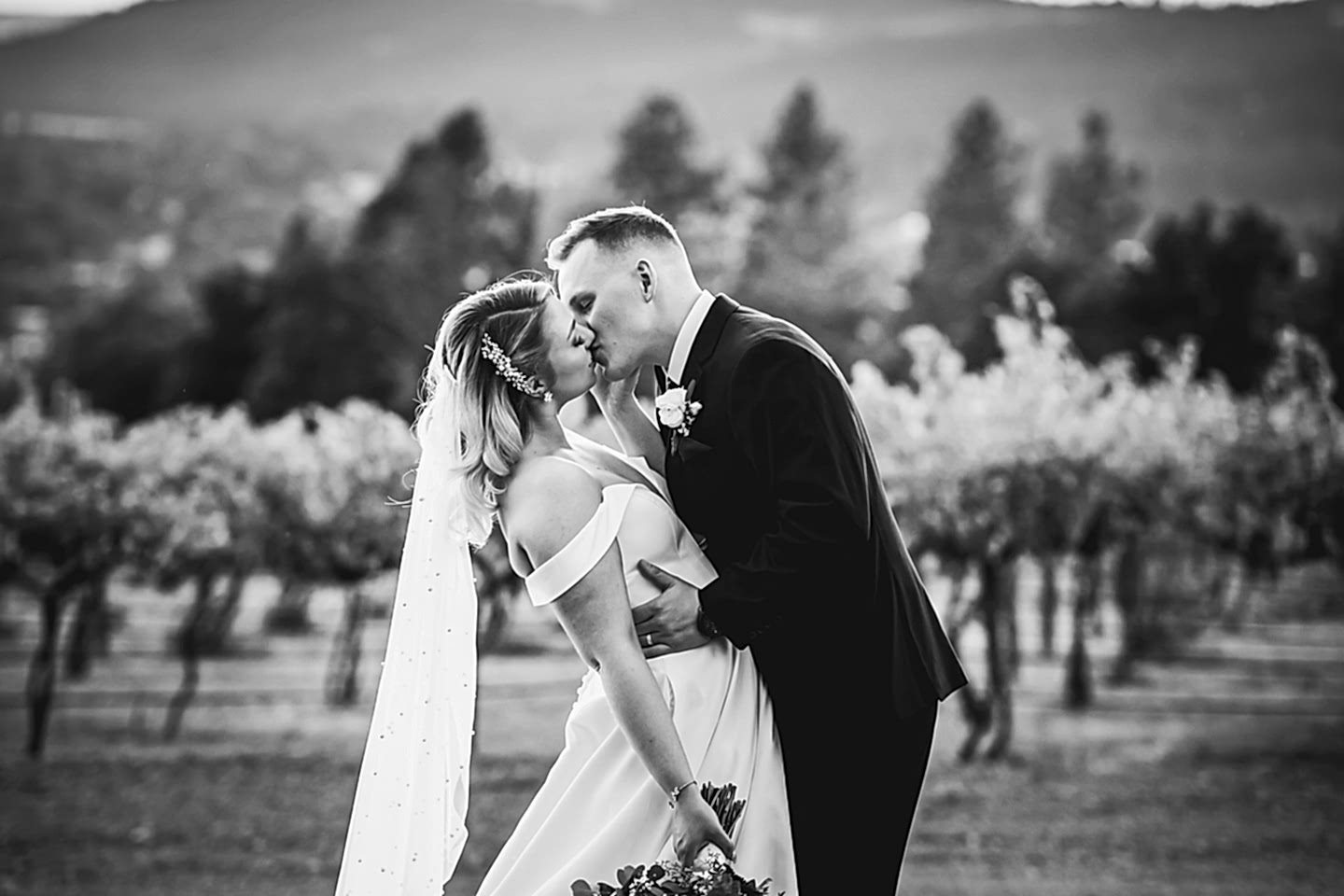 Arbor Crest, Washington